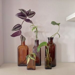 5 small bud vases/propagation jars